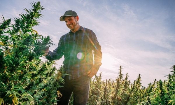 grower in the field